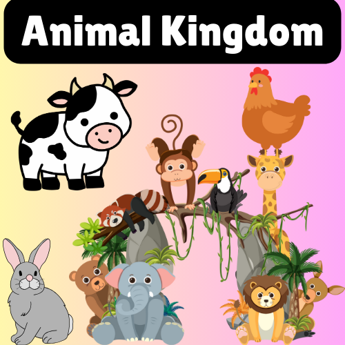 English speaking practice: Animal Kingdom