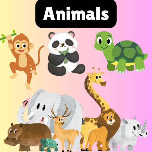 English learning for - Animals