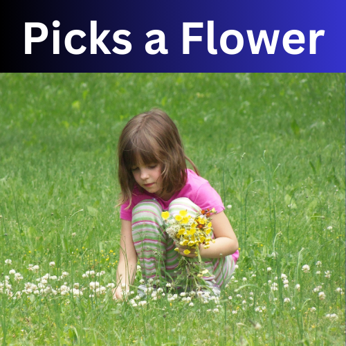 Learn English - Picks a Flower